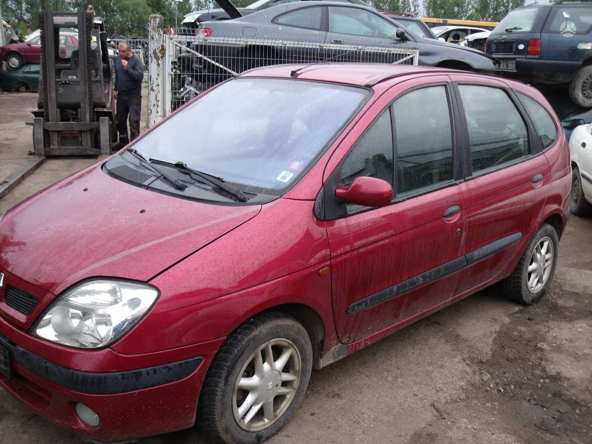 Renault Scenic Dalimis