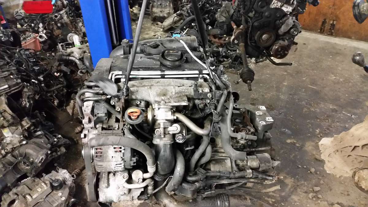 Volkswagen Touran Variklio kodas bkd