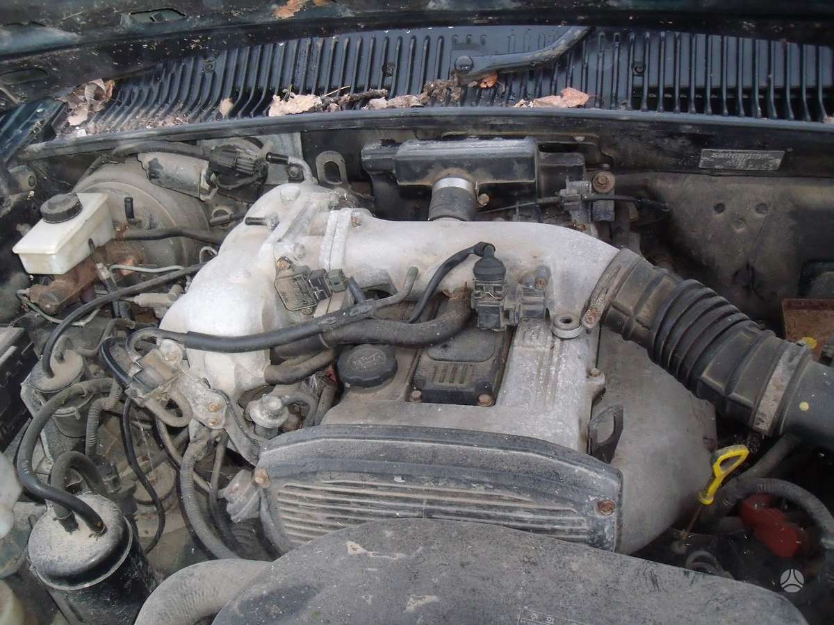 Kia Sportage Dalimis