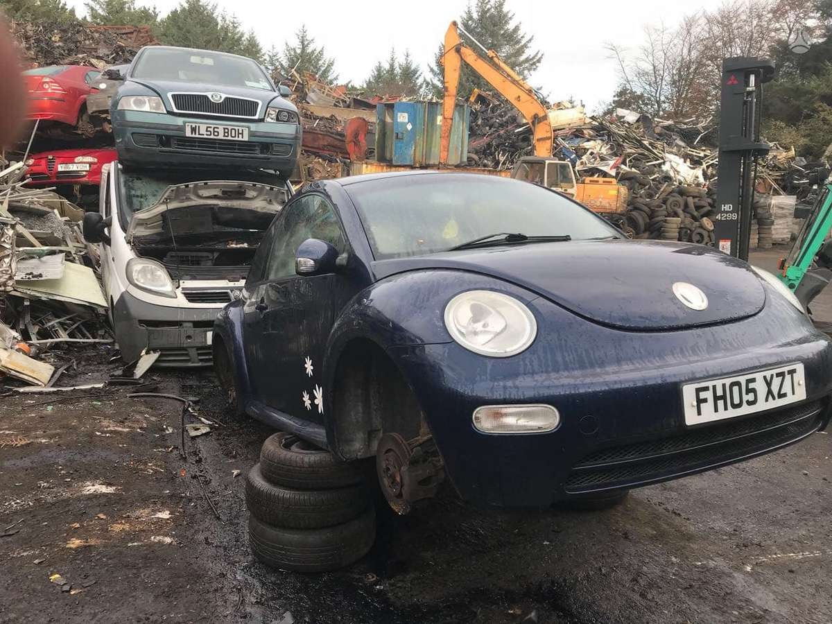 Volkswagen Beetle dalimis