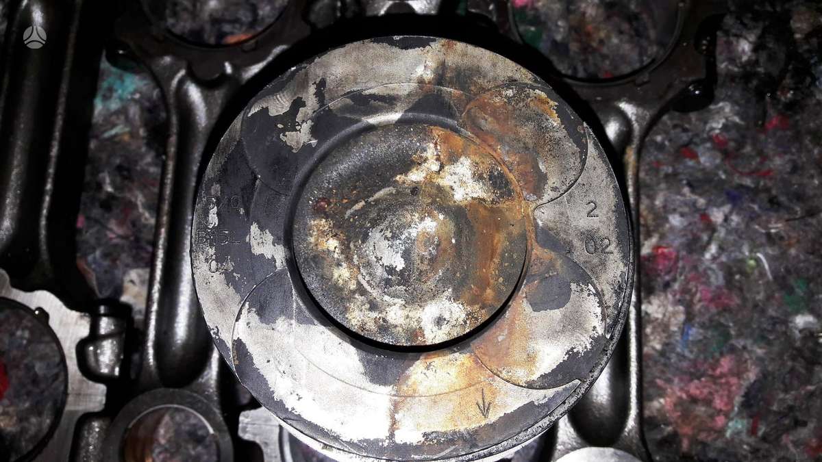 Nissan Navara, Ys23, variklio detalės
