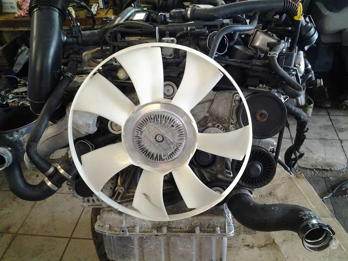 Mercedes-Benz Sprinter, other