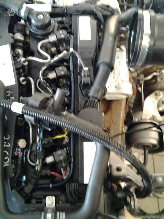 Mercedes-Benz Sprinter, other