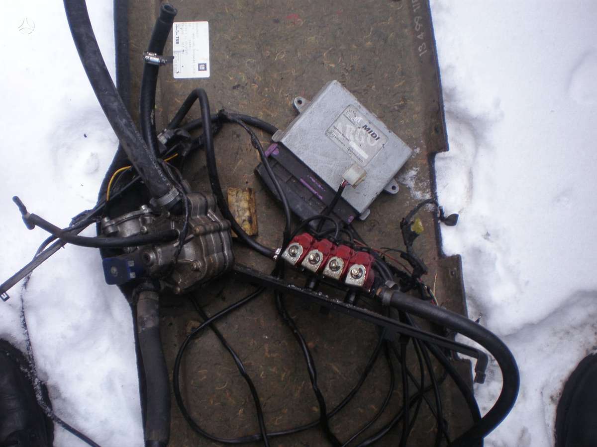 Midi