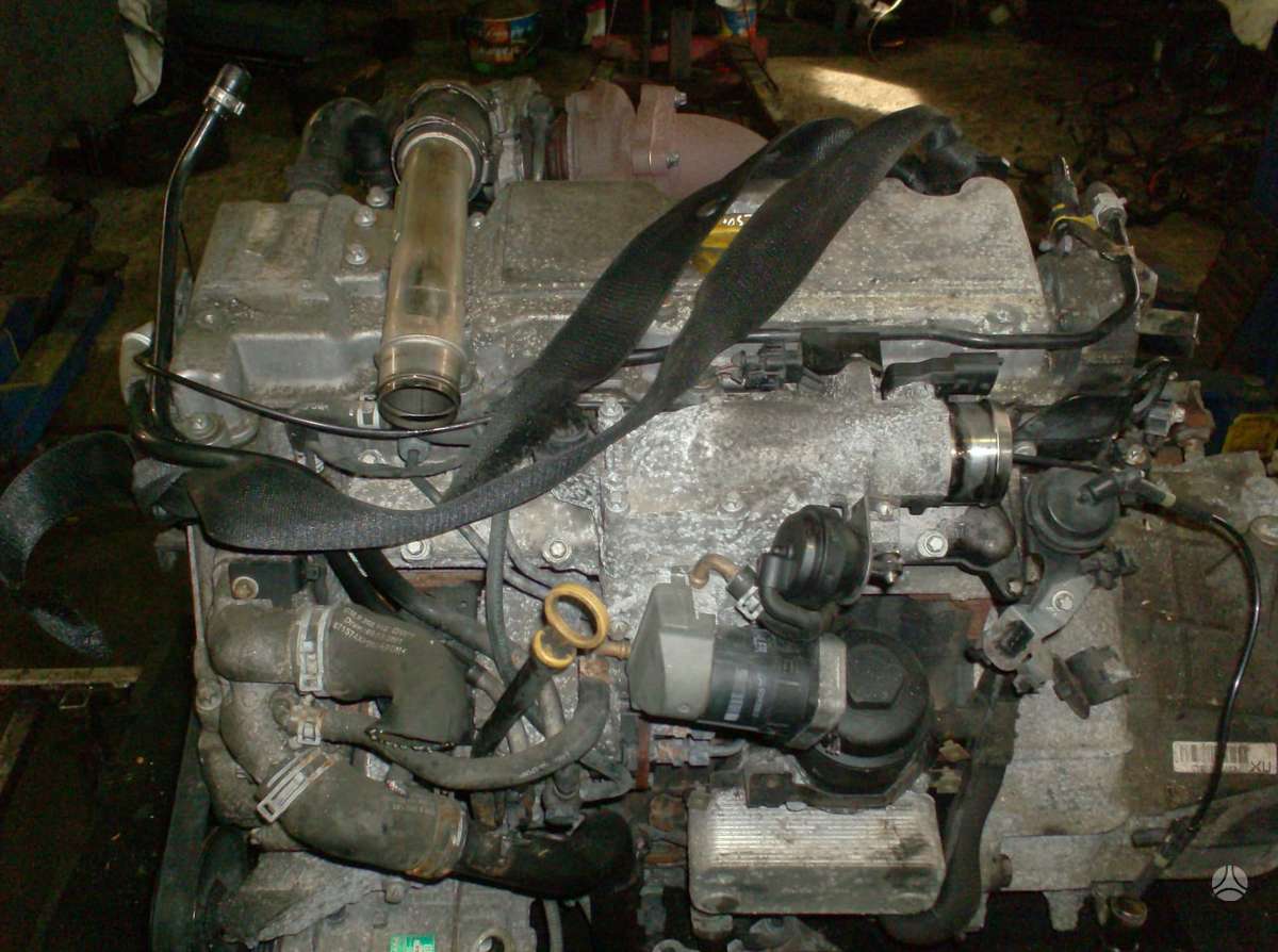 Opel Vectra Dalimis