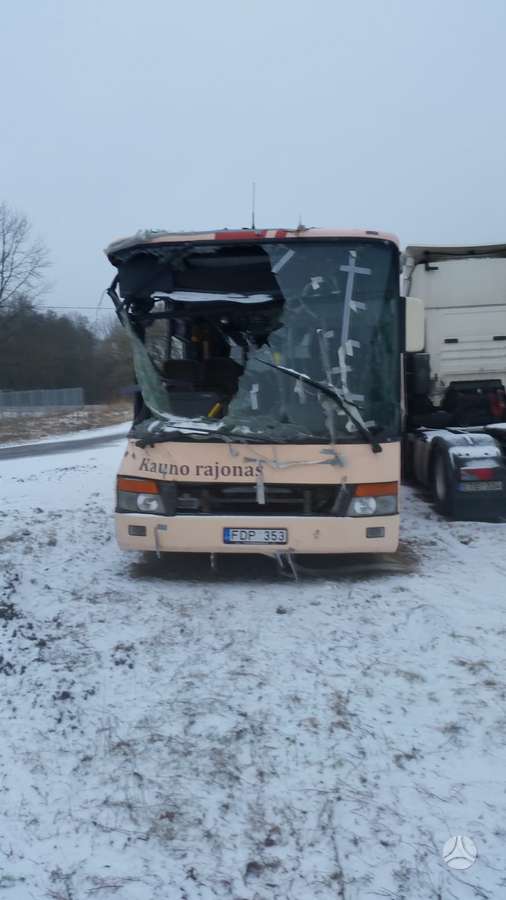Setra S313 ul, autobusai