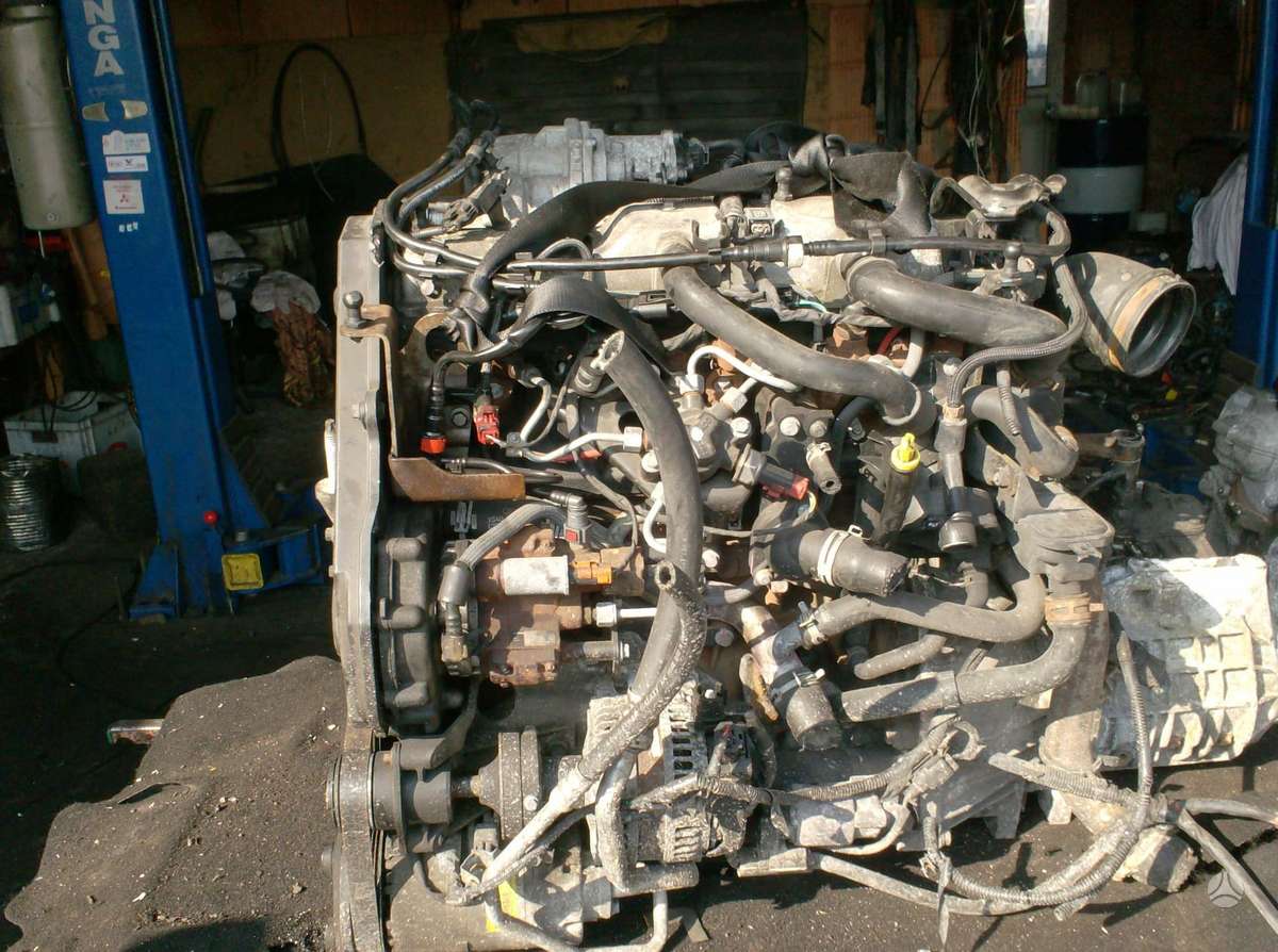 Ford Focus Kkda variklio kodas
