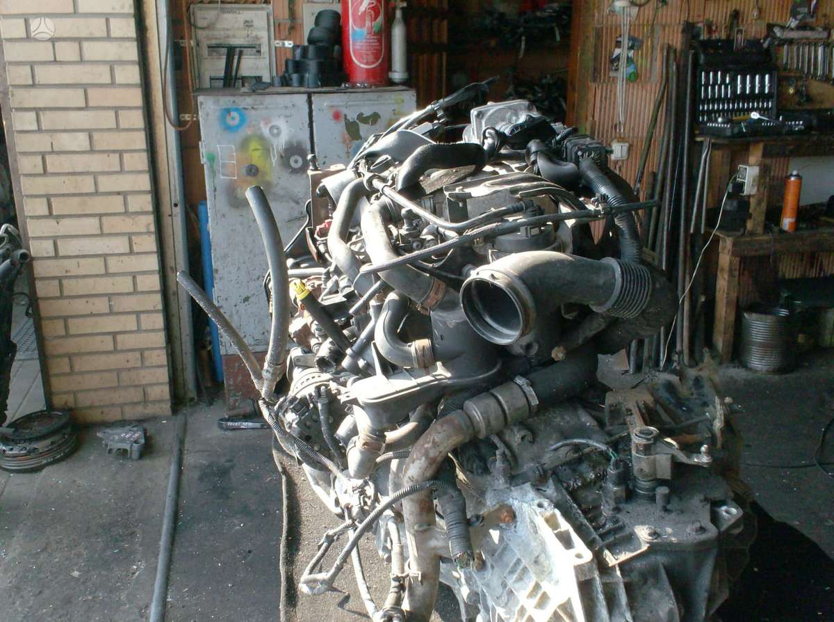 Ford Focus Kkda variklio kodas