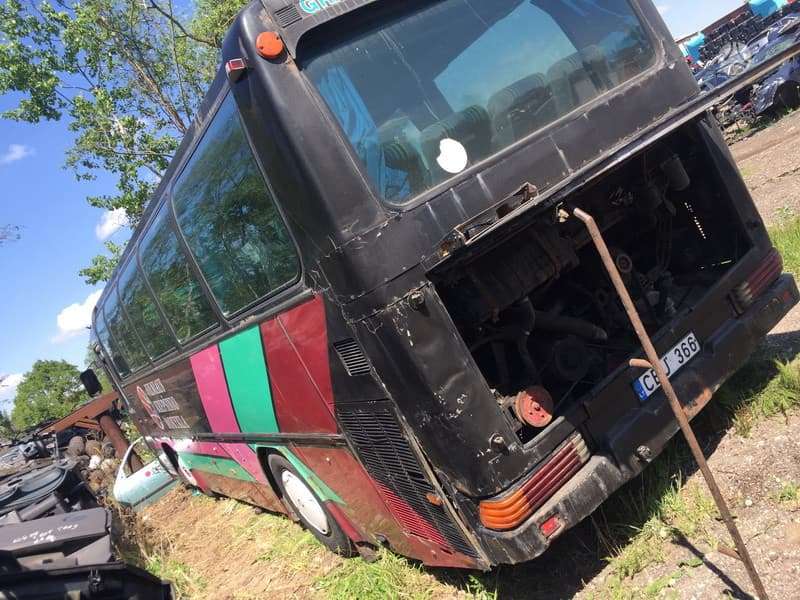 Mercedes-Benz O303, автобусы