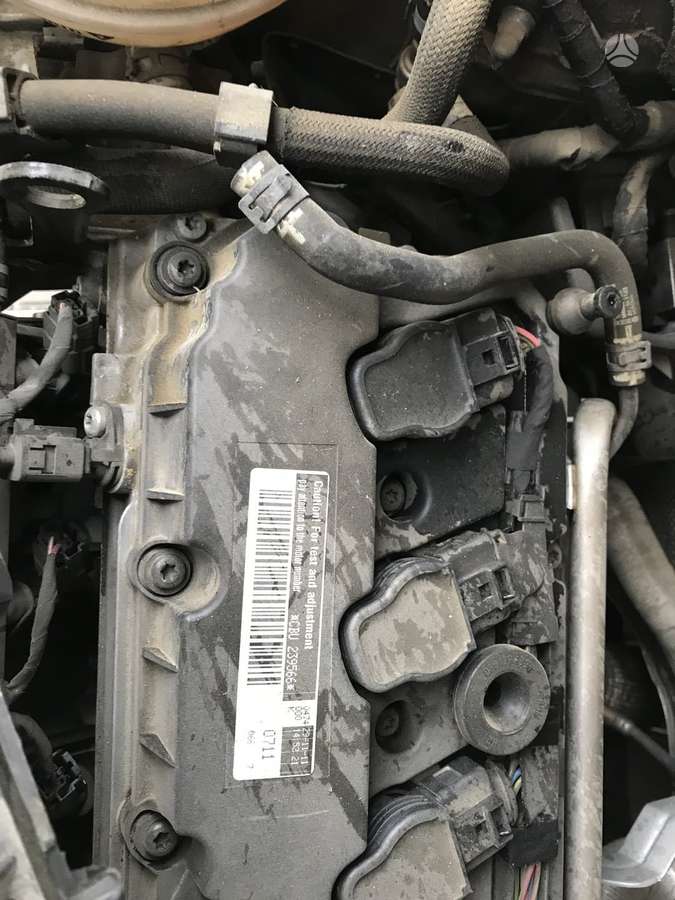 Volkswagen Passat dalimis