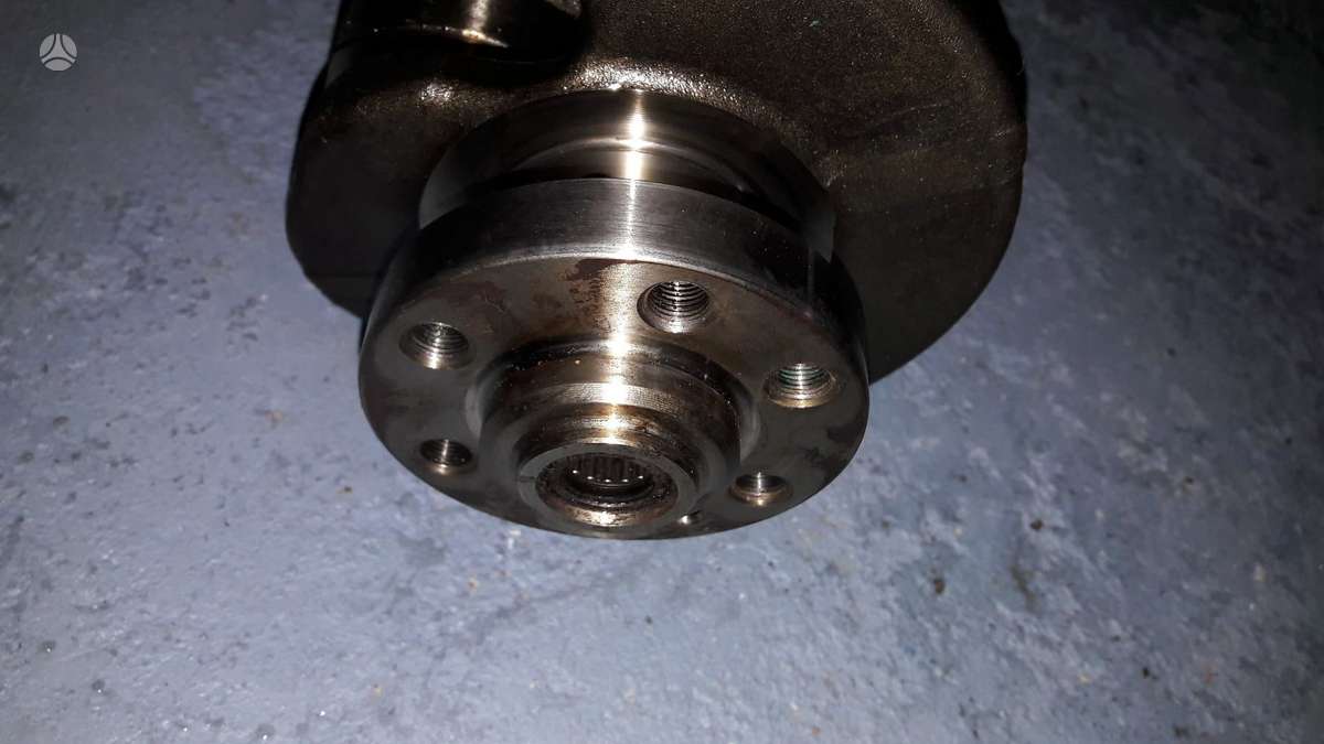 Skoda Octavia, CEG, variklio detalės