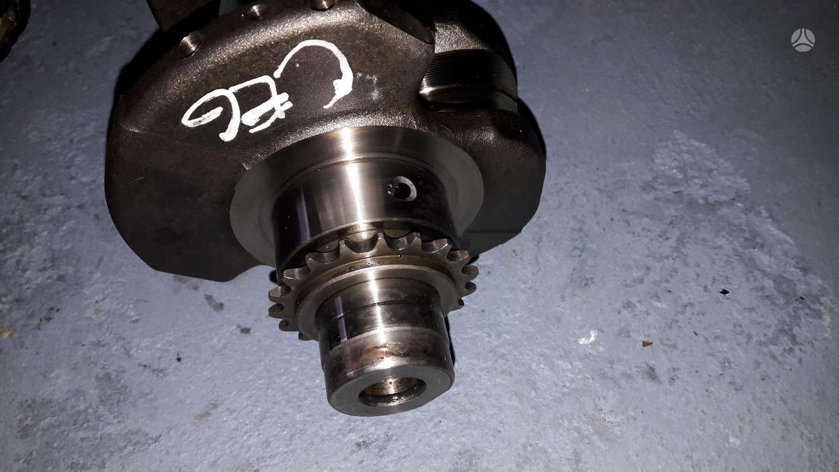 Skoda Octavia, CEG, variklio detalės