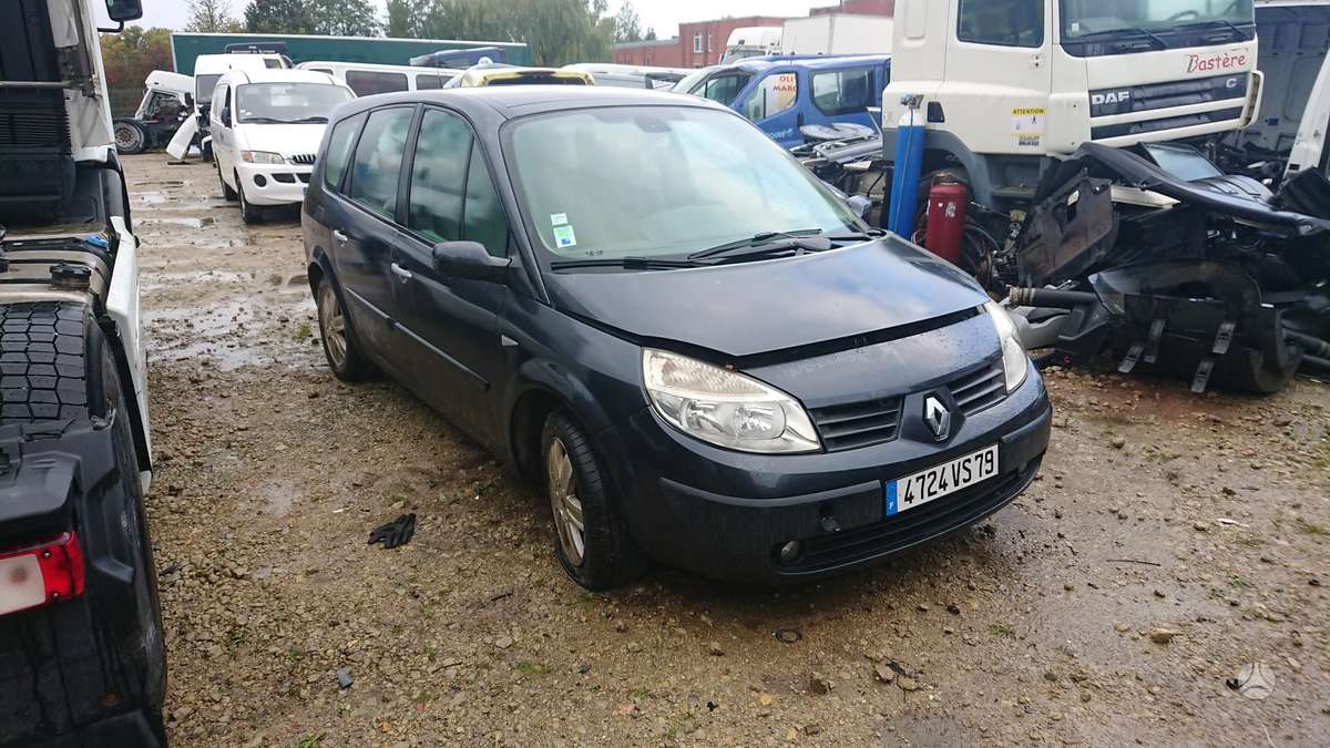Renault Grand Scenic dalimis