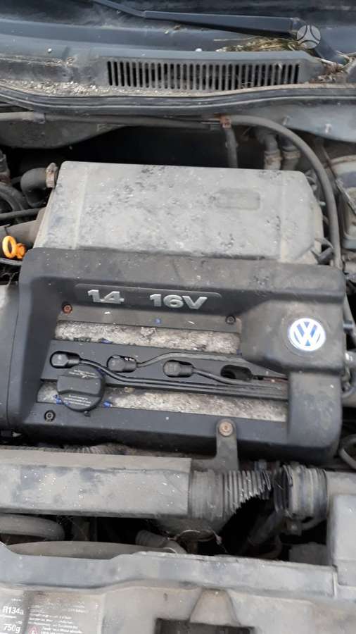 Volkswagen Bora Dalimis