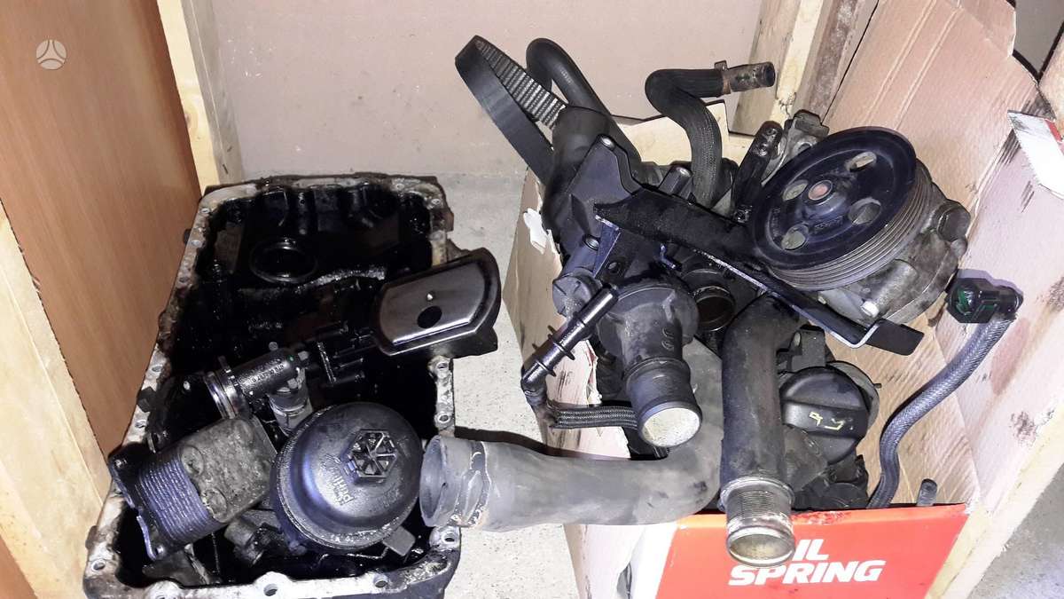 Ford Galaxy, QXBA, variklio detalės