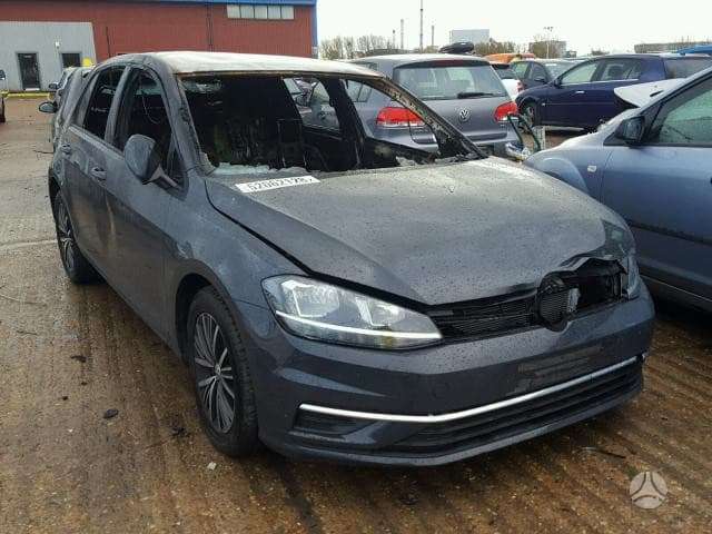 Volkswagen Golf dalimis. Ryda 1000miliu