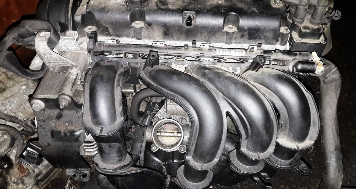 Ford Focus, SHDA SIGMA, детали двигателя