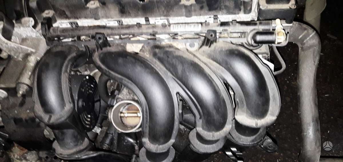 Ford Focus, SHDA SIGMA, engine parts