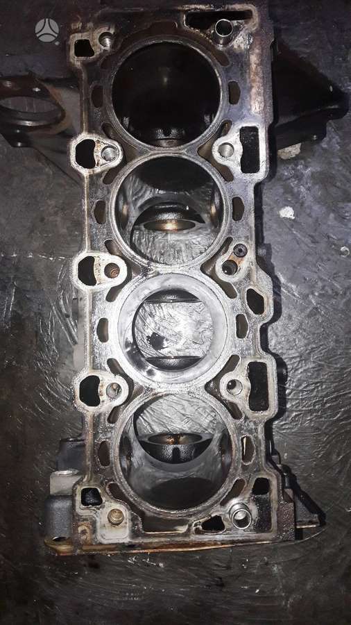 Opel Meriva, Z16XEP, variklio detalės
