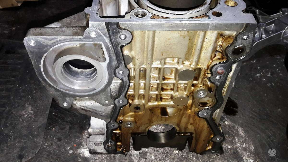 Skoda Yeti, CBZ, variklio detalės