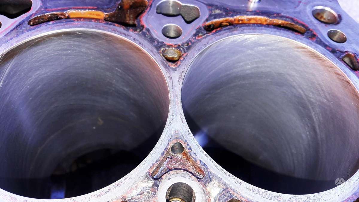 Volkswagen Golf, CJS, variklio detalės