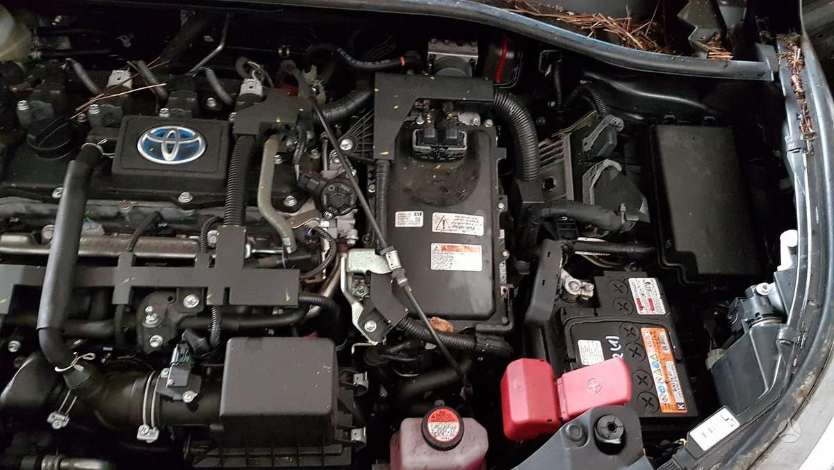 Toyota C-HR Dalimis is anglijos