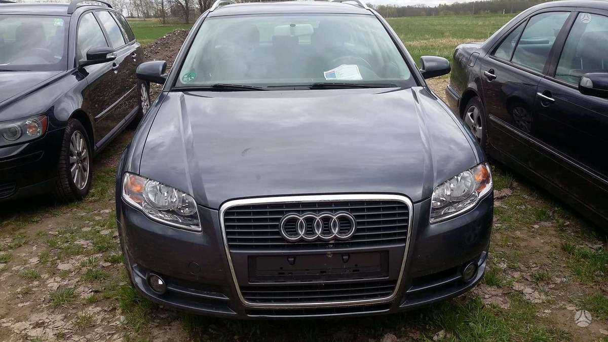 Audi A4 dalimis. Europa dalimis