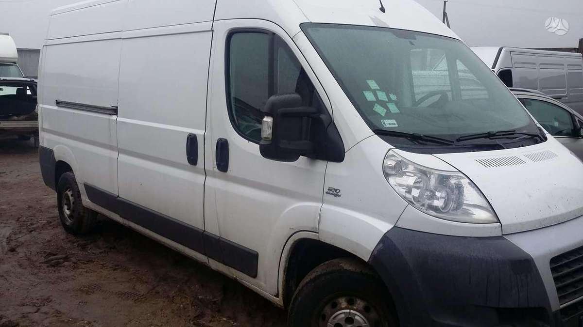 Fiat DUCATO, cargo vans