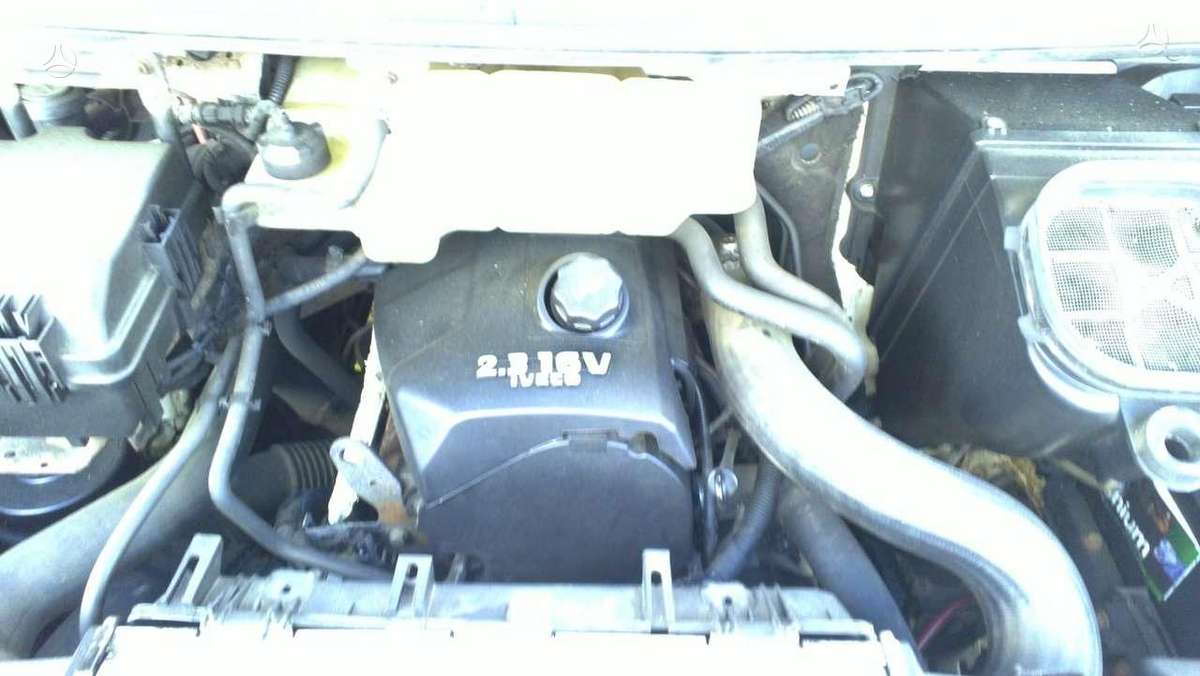 Iveco Daily, cargo vans