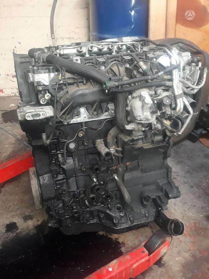 Peugeot 407 6 bėgiai
