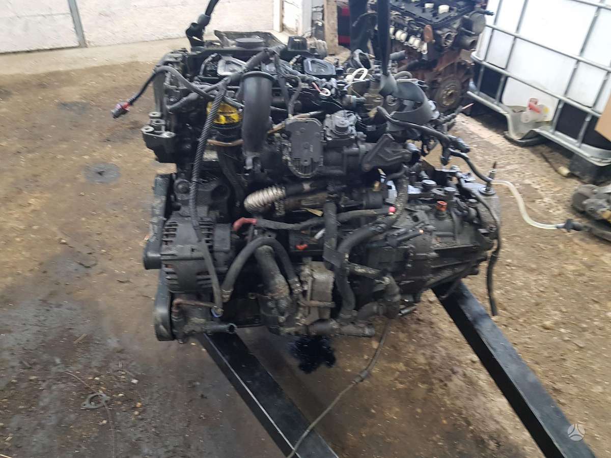 Renault Trafic Kodas m9r m 786