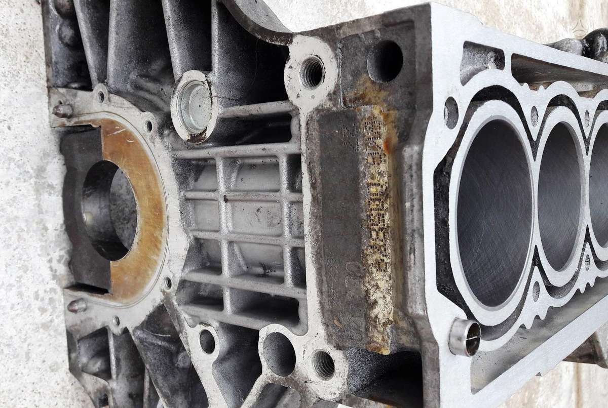 Volkswagen Golf, BKG, variklio detalės