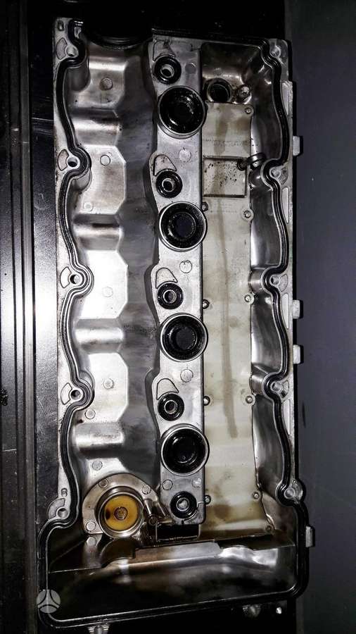 Kia Soul, D4FB, variklio detalės