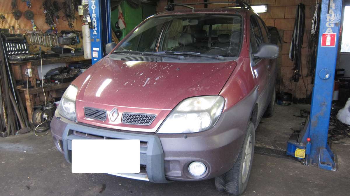 Renault Scenic Dalimis