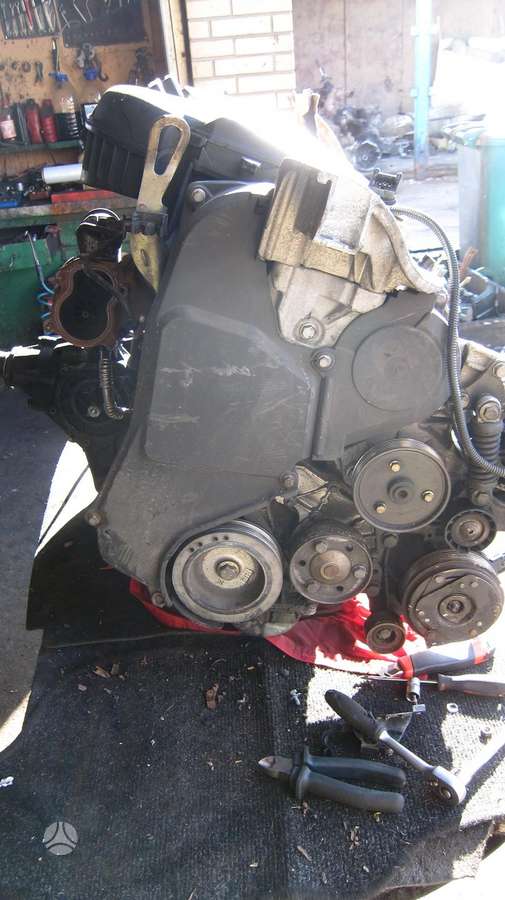 Renault Scenic Dalimis