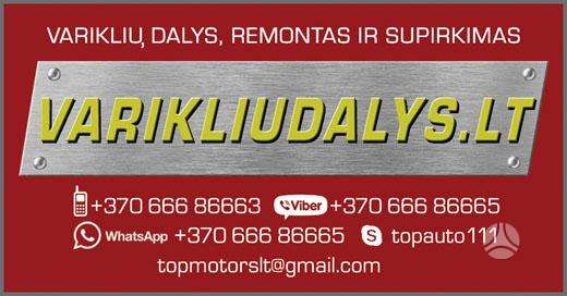 Ford S-MAX, QXBA, variklio detalės