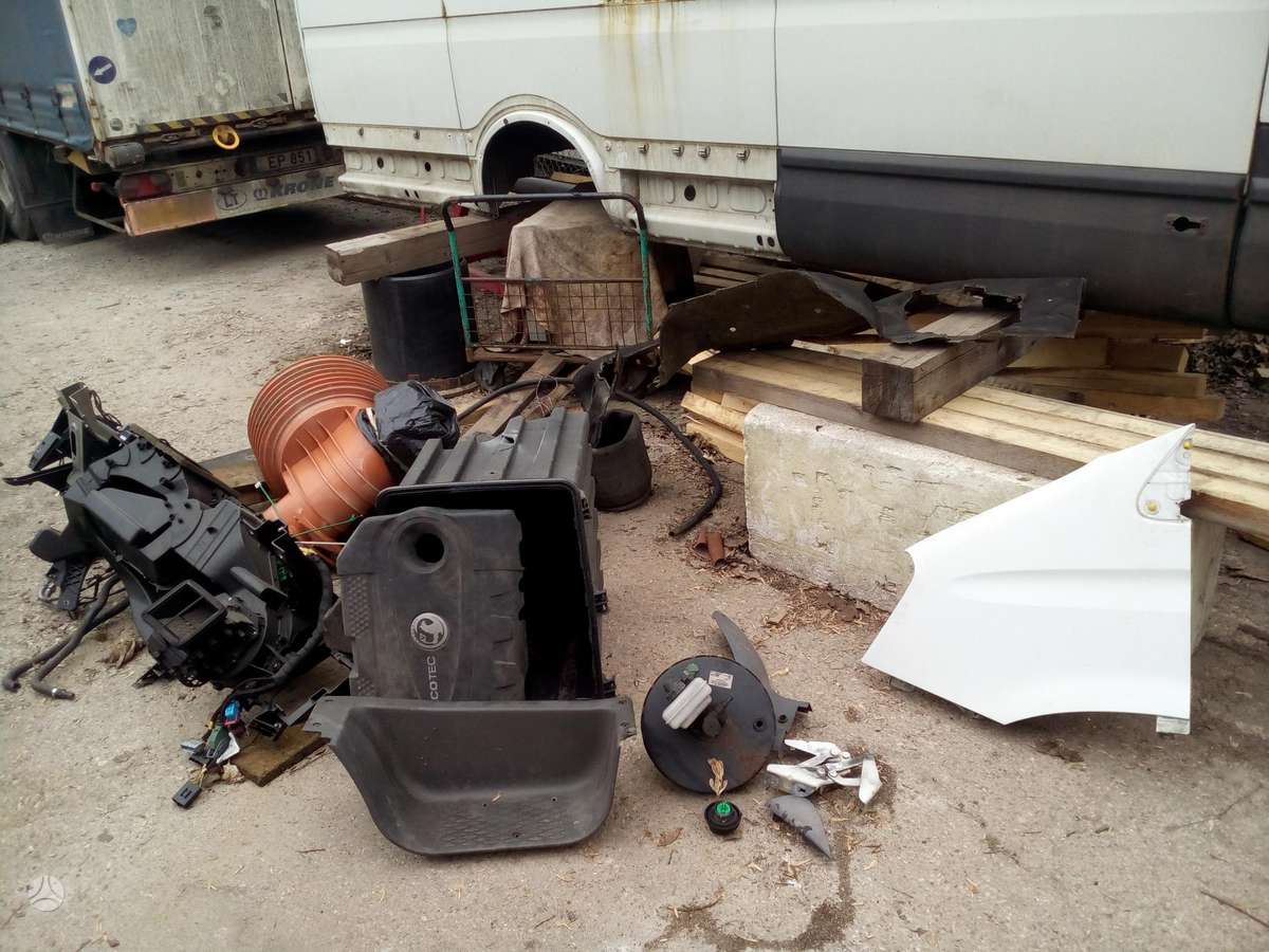 Iveco Daily, cargo vans