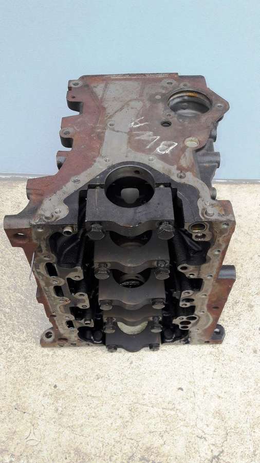 Volkswagen Golf, BWA BWE BPJ 06F103021D, variklio detalės