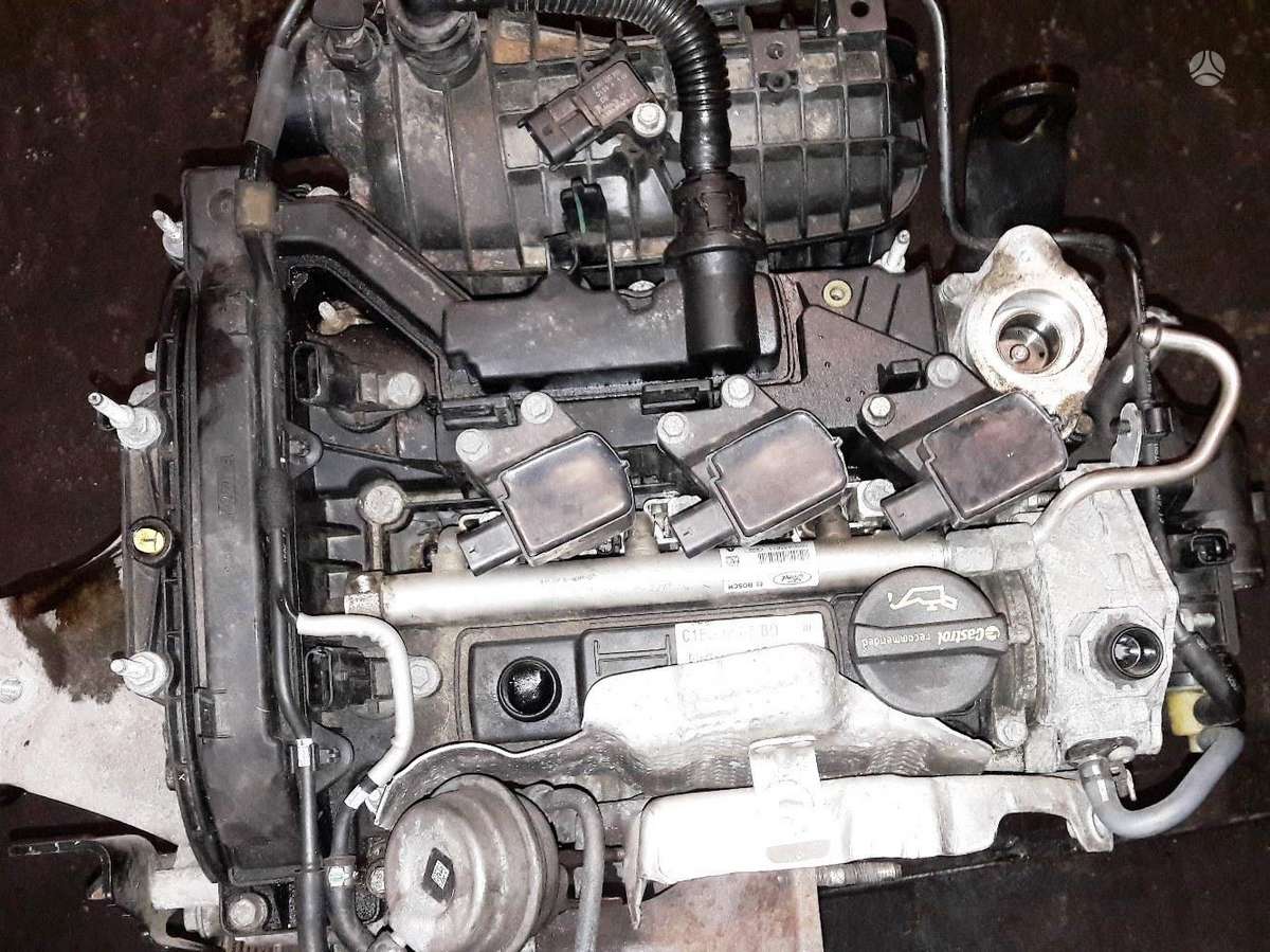Ford Focus, SFJA, variklio detalės