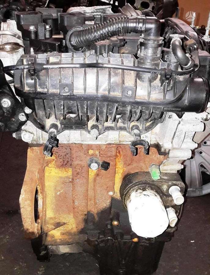 Ford Focus, SFJA, variklio detalės