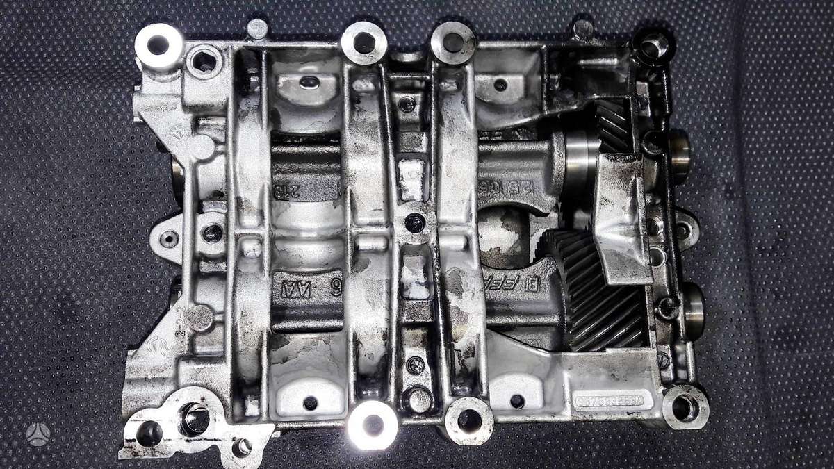 Land Rover Freelander, 224DT, variklio detalės