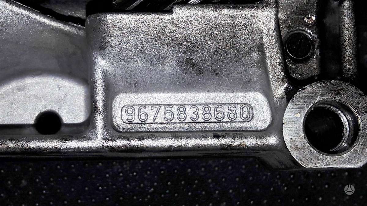 Land Rover Freelander, 224DT, variklio detalės
