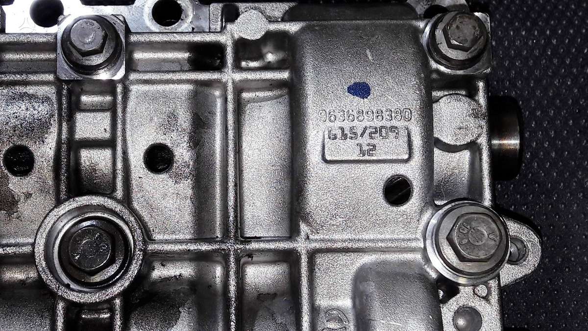 Land Rover Freelander, 224DT, variklio detalės