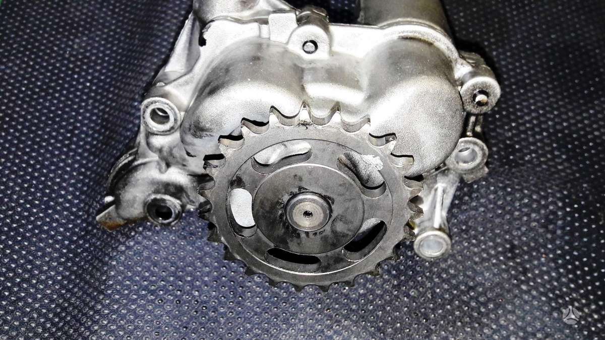 Land Rover Freelander, 224DT, variklio detalės