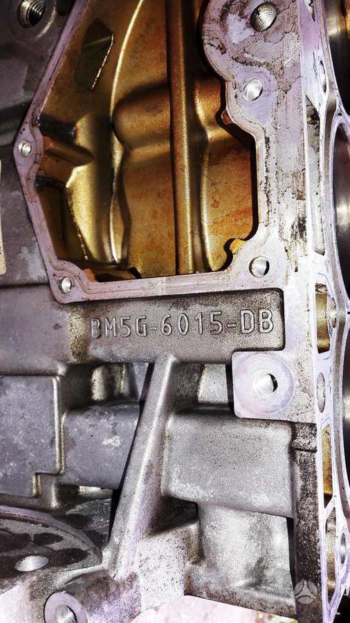 Ford C-MAX, JQDB, variklio detalės