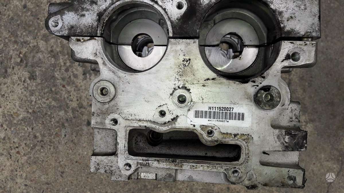 Opel Antara, Z22D1, variklio detalės