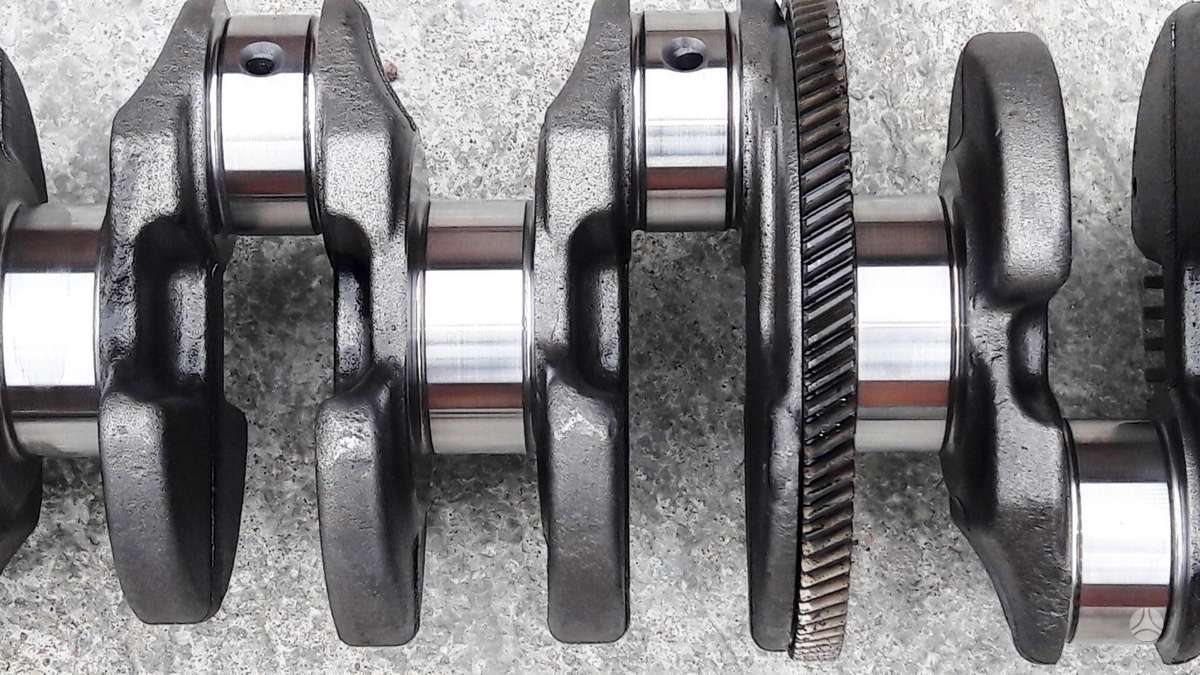 Opel Antara, Z22D1, variklio detalės