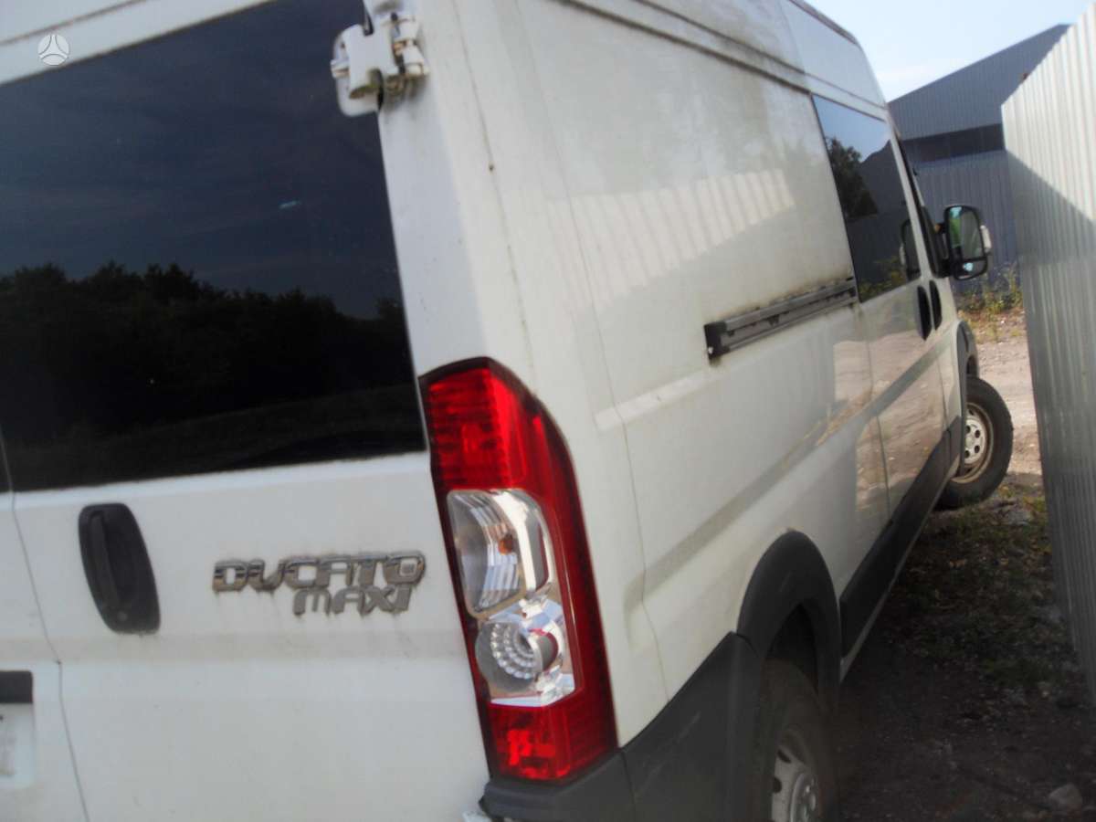 Fiat Ducato, cargo vans