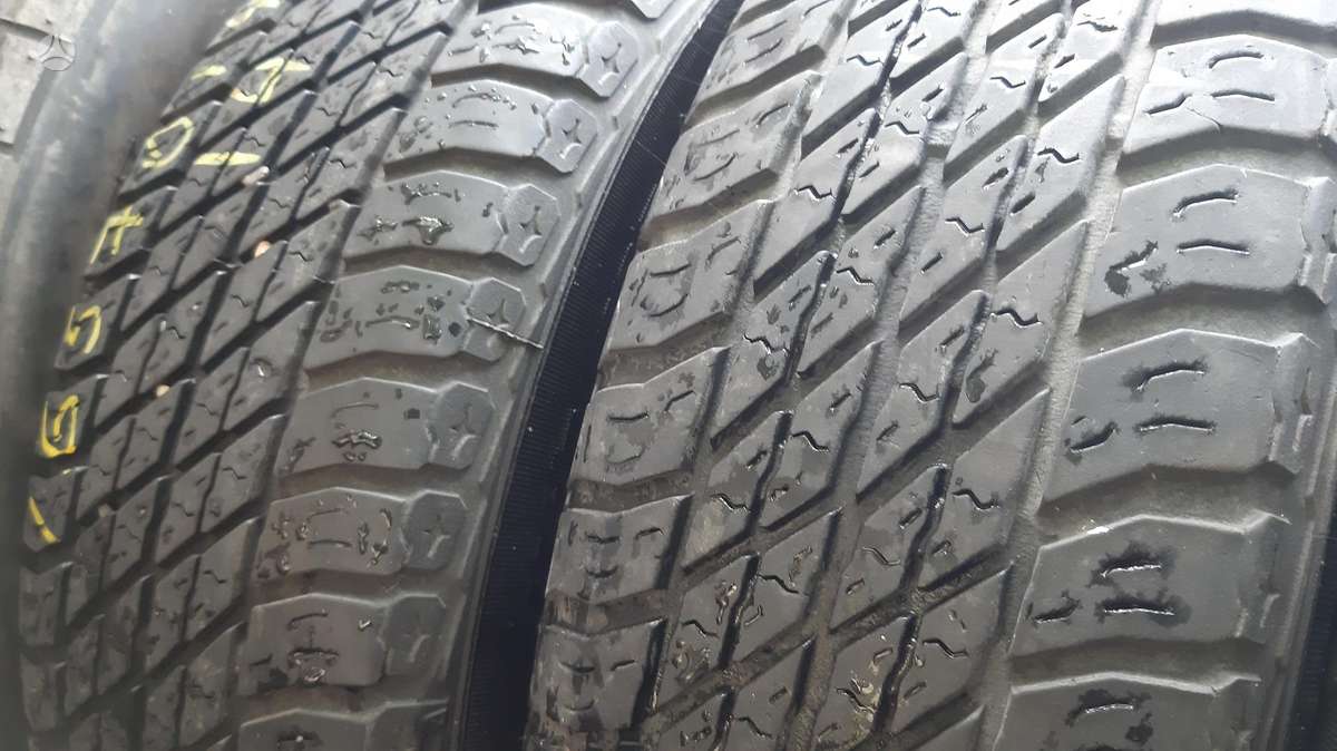 Pirelli Paxaro M+S, summer 165/70 R14