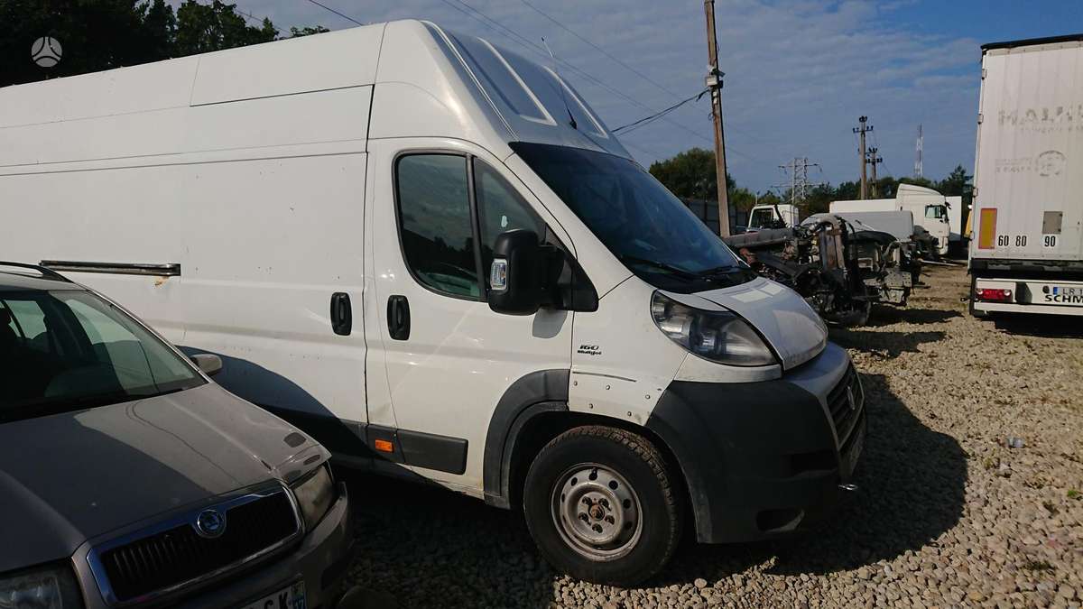 Fiat Ducato, cargo vans